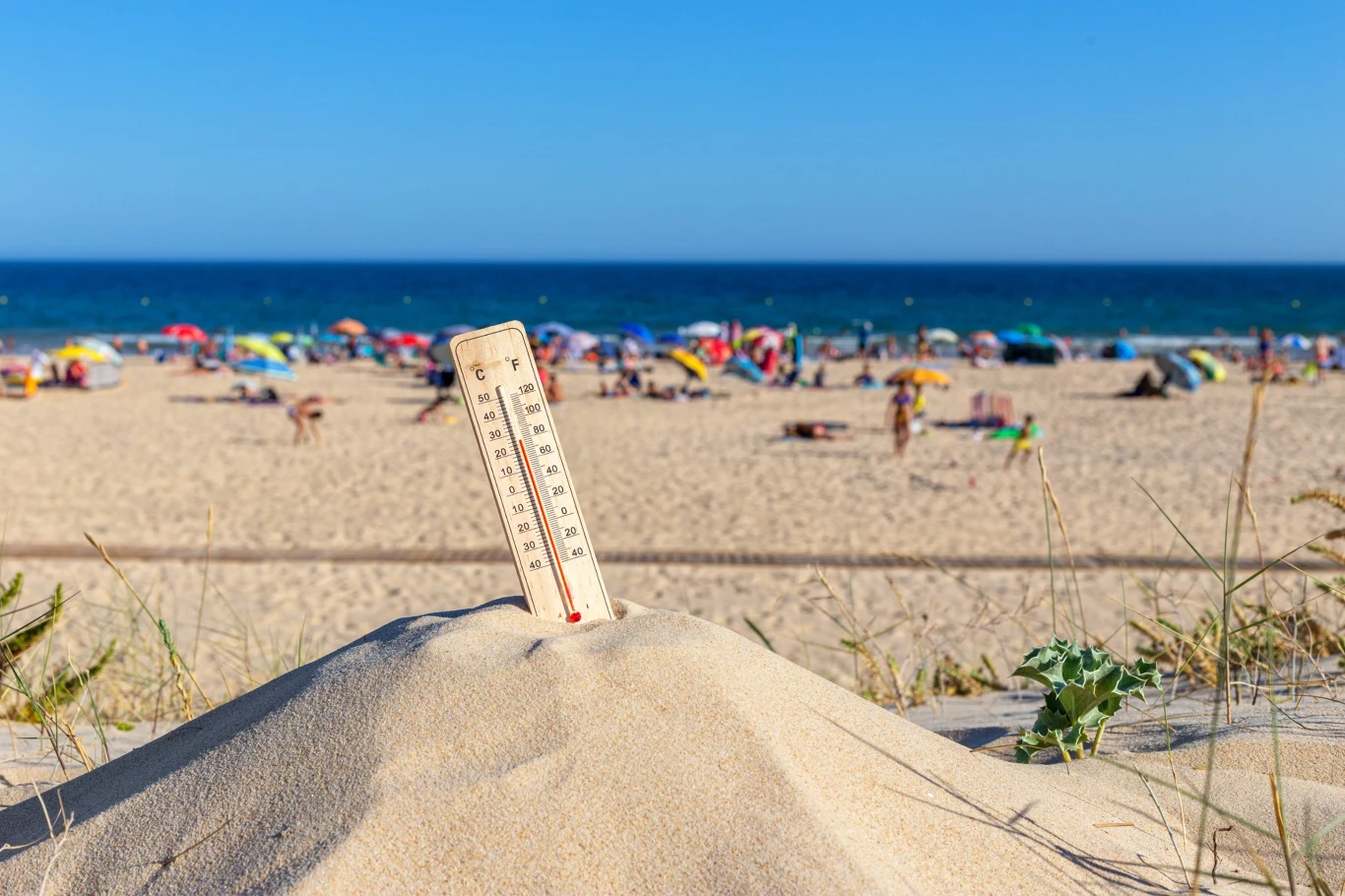 Termometr wbity w kopiec piasku na plaży, a w tle kolorowe parasole i ludzie korzystający z kąpieliska nad morzem.