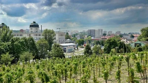 Upały blisko historycznych rekordów. Są nowe prognozy dla Polski
