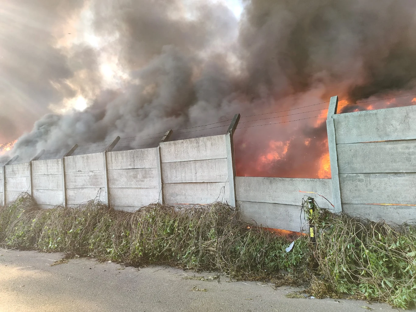 Pożar w Chorzowie. Ogień wybuchł na terenie firmy składującej odpady Wysokie płomienie i gęsty, czarny dym unoszące się za betonowym ogrodzeniem, pośród którego widoczne są przewody i roślinność przy drodze.