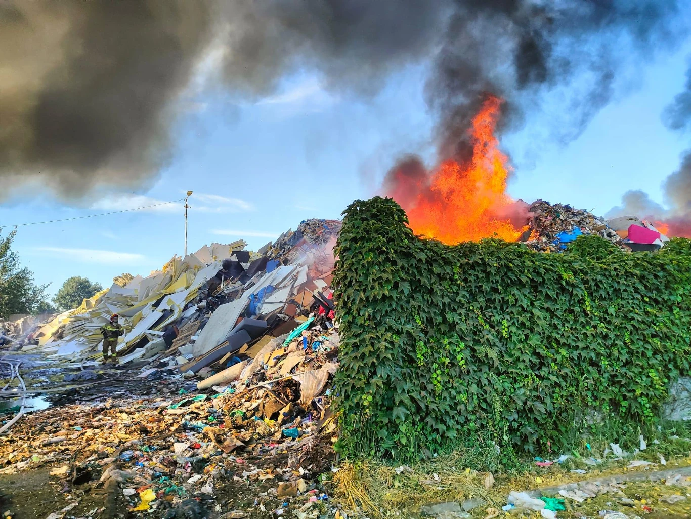 Pożar na terenie firmy recyklingowej w Chorzowie Płomienie i gęsty dym unoszą się nad płonącą stertą śmieci, obok której rośnie zarośnięty zielenią mur; po lewej stronie strażacy próbują ugasić pożar.