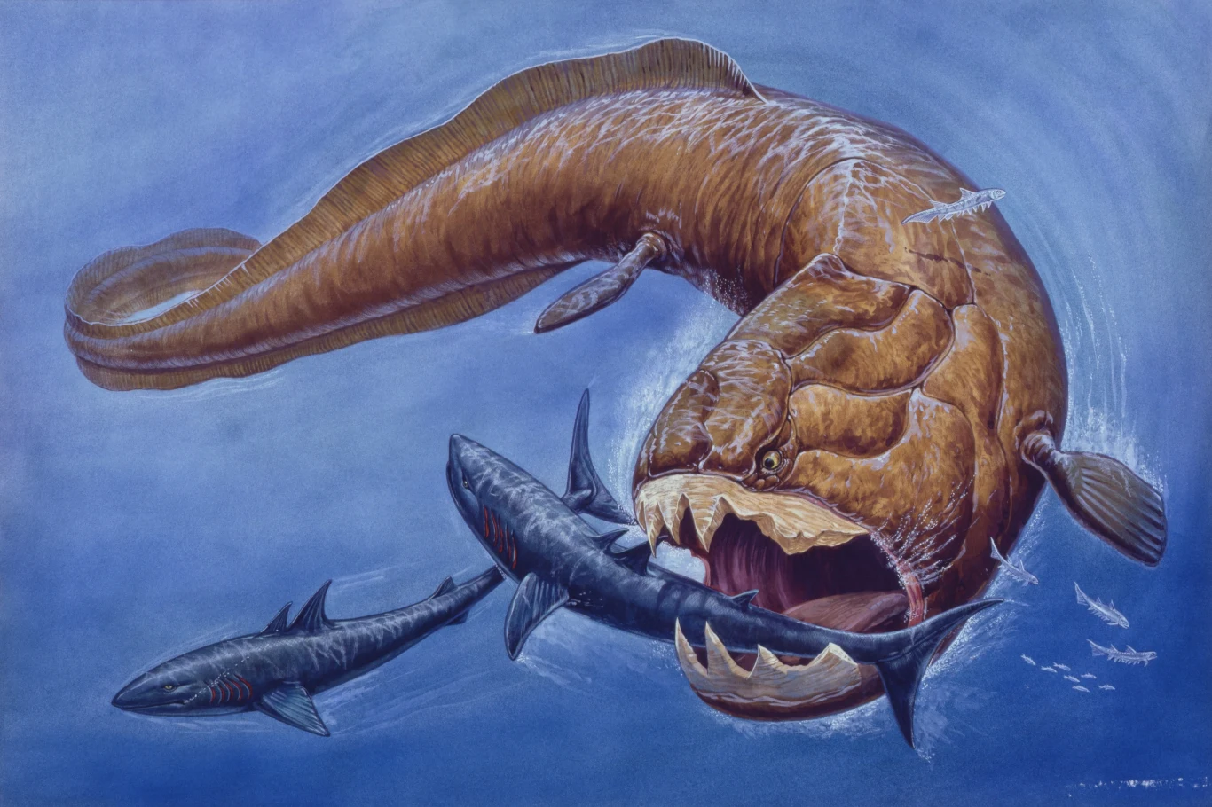 Olbrzymi prehistoryczny drapieżnik z potężną szczęką atakujący dużą rybę w głębinach oceanu.