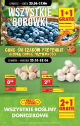 Łap gratisy każdego dnia - Biedronka