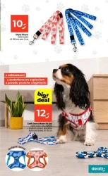 Czas na sprytne zakupy - Dealz
