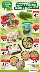 Gorą okazje! - Intermarche