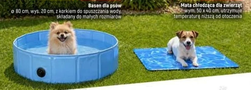 Mały pies kąpie się w niebieskim, okrągłym basenie dla zwierząt, obok biało-brązowy pies leży na prostokątnej macie chłodzącej na zielonym trawniku.