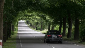 Drogi wojewódzkie nie mają takiego znaczenia jak krajowe, ale zapewniają jedyny dojazd do wielu miejsc, dlatego ruch na nich nie spada