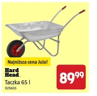 Taczka Hard Head