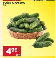 Ogórki
