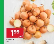 Cebula