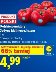 Pomidory