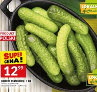 Ogórek Polski