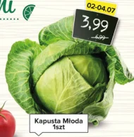 Kapusta młoda