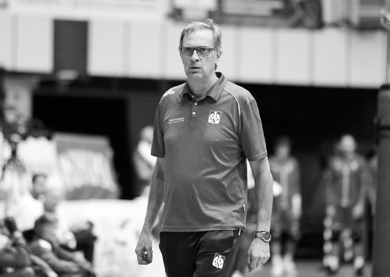 Daniel Castellani nie żyje Mężczyzna w okularach ubrany w sportową koszulkę z logo drużyny stoi w hali sportowej, wokół rozmyte sylwetki innych osób.