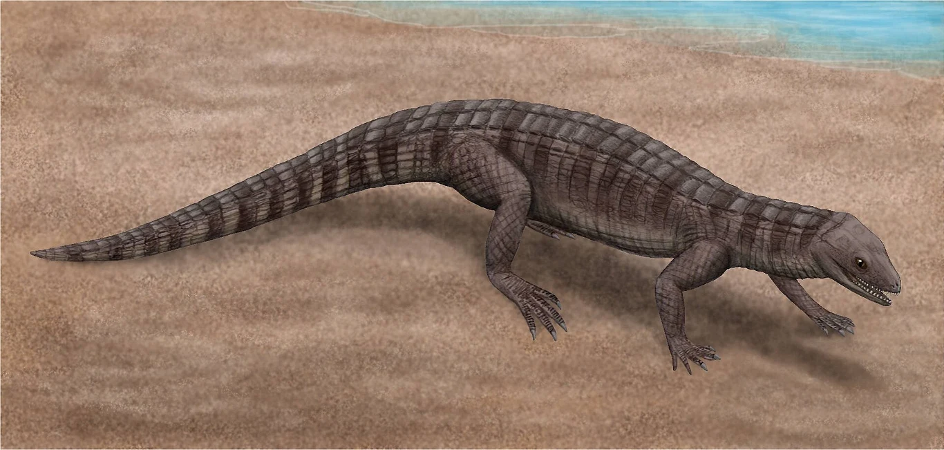 Prehistoryczne zwierzę przypominające jaszczurkę o wydłużonym ciele i ogonie, ciemnych pręgowanych łuskach oraz krótkich, mocnych kończynach porusza się po piaszczystym brzegu w pobliżu wody.