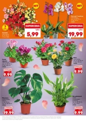 Mocny start od poniedziałku - Kaufland