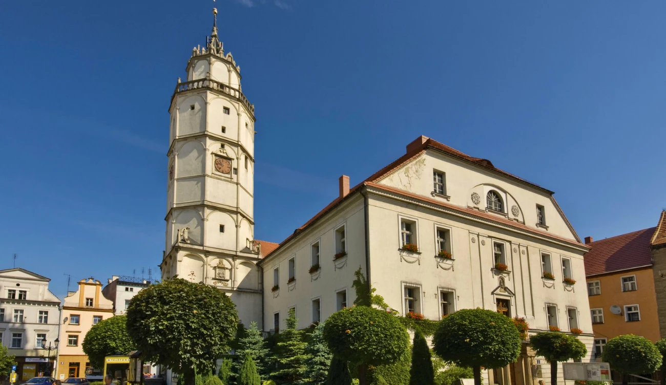 Wieża ratuszowa z charakterystycznym zegarem oraz zabytkowy budynek ratusza otoczone niskimi, starannie przyciętymi drzewami i elegancką zielenią w centrum miasta.