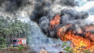 Zagrożenie pożarowe rośnie. Apel RCB i leśników do Polaków