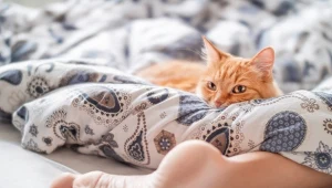 Śpisz z jedną nogą poza kołdrą? Ten zabawny nawyk ma swoje wyjaśnienie