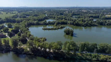 Przylasek Rusiecki przeszedł wielką metamorfozę w 2021 roku. To nowoczesne kąpielisko w Krakowie latem przyciąga tłumy