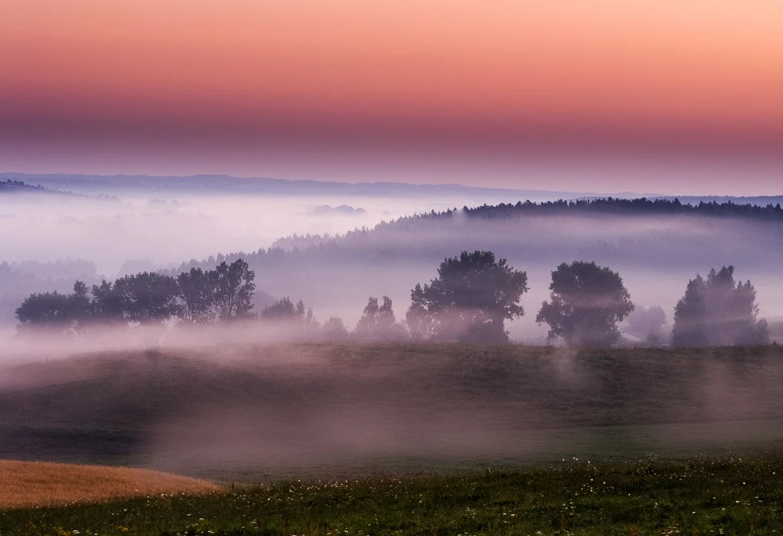 Delikatna mgła unosząca się nad polami i sylwetkami drzew na tle wielowarstwowego, pastelowego nieba o świcie.