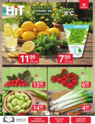 Lato pełne promocji  - Selgros Cash&Carry