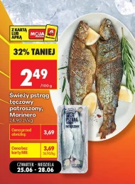 Pstrąg tęczowy Marinero