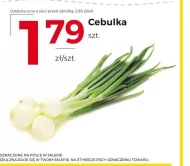 Cebula