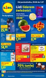 Koszyk pełen letnich hitów - Lidl