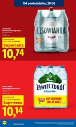 Koszyk pełen letnich hitów - Lidl
