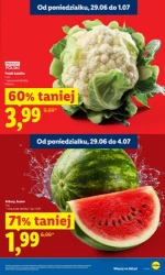 Koszyk pełen letnich hitów - Lidl