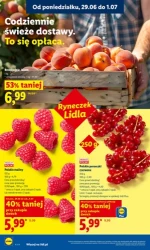 Koszyk pełen letnich hitów - Lidl