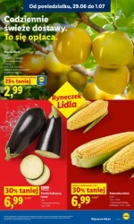 Koszyk pełen letnich hitów - Lidl