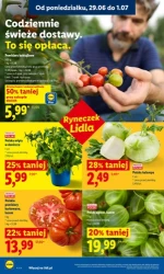 Koszyk pełen letnich hitów - Lidl