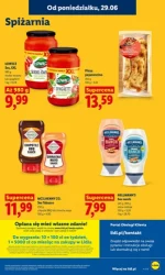 Koszyk pełen letnich hitów - Lidl