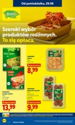 Koszyk pełen letnich hitów - Lidl