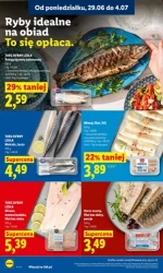 Koszyk pełen letnich hitów - Lidl