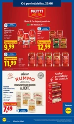 Koszyk pełen letnich hitów - Lidl