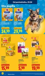 Koszyk pełen letnich hitów - Lidl