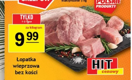 Безкісткова лопатка