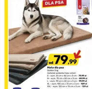 Mata dla psa Golden Dog
