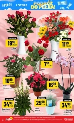 Tydzień pełen promocji - POLOmarket