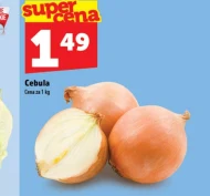 Cebula