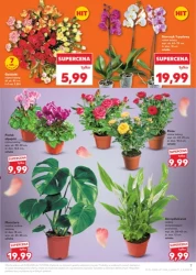 Найкращі пропозиції на гриль — Kaufland