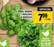Zioła doniczkowe