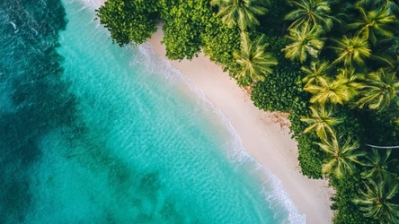 Wygląda jak tropiki, leży u naszych sąsiadów. Czeskie Karaiby przyciągają turystów [zdjęcie poglądowe]