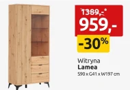 Witryna