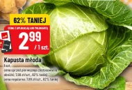 Kapusta młoda