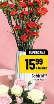 Goździki
