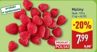 Maliny Polski