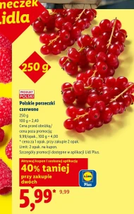 Porzeczki